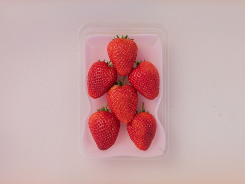 『朝採れ直送』甘さと酸味のバランスが自慢　栃木県産とちあいか