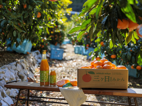 【お得な12本セット♪】陽だまりファーム  三ヶ日青島みかんジュース ストレート100％（720ml×12本）