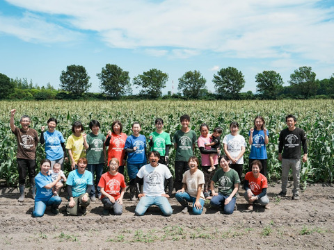 フルーティーな香り！雪下にんじんアロマレッド（3㎏）