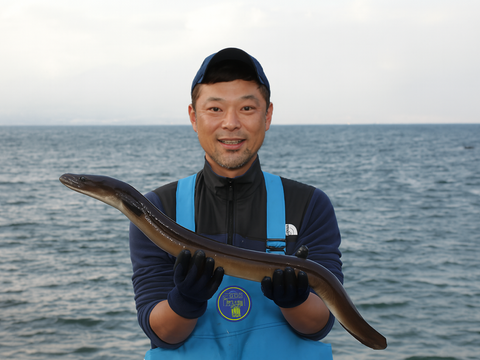 「【食欲の秋到来!!】」【幻の海水うなぎ】【ミシュラン御用達】【伊勢神宮奉納うなぎ】【限定生産】海水育ちの〝天草藍うなぎ〟紅白3～4セット