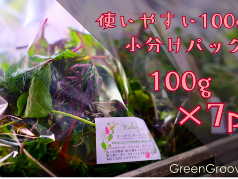 違いはわかります！G20サミット採用サラダ！10種のヨーロピアンリーフミックス【100gパック×7p】▲月・火・水・木着専用▲