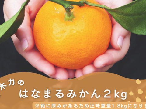 【12/10〜発送開始】【伊木力みかん】はなまるみかん２ｋｇ（ご贈答用に★）