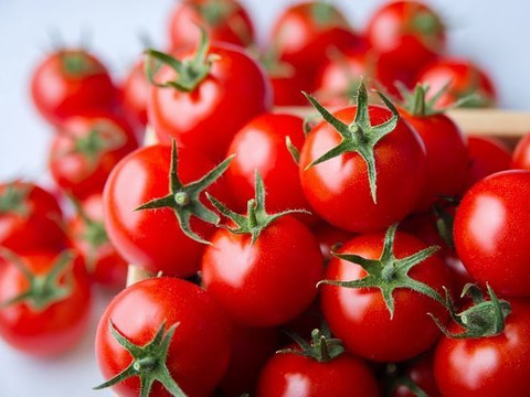 【完全無添加】出雲市産〈超トマト〉を使用した100％超トマトジュース（500ml）2本【食塩不使用】