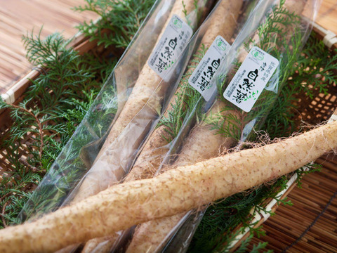 日本初のオーガニック自然薯！！
ミシュランシェフも御用達【有機JAS認証　贈答用１ｋｇ】