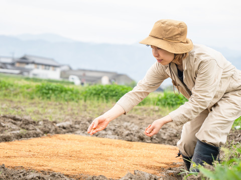 甘みを感じる🌾ごきげん栽培米🌾令和５年度徳島県産コシヒカリ玄米5kg【農薬・化学肥料不使用】