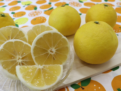 ニューサマーオレンジ　ご家庭用5㎏