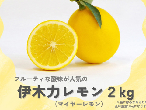 【長崎県産】マイヤーレモン２kg