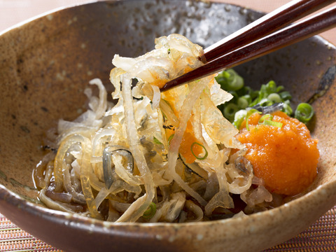 【ミシュラン御用達!】【数量限定!】【期間限定!】【大皿使用】国産高級!!天草とらふぐ刺身セット(3～4人前)