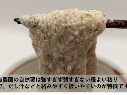 【規格外品、自然薯のお試し用に！】程良い粘りと風味豊かな自然薯（3kg）【農薬・化学肥料不使用】