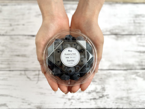 パリッとして美味しい大粒ブルーベリー　ユーリカ※農薬不使用（100g×4パック）