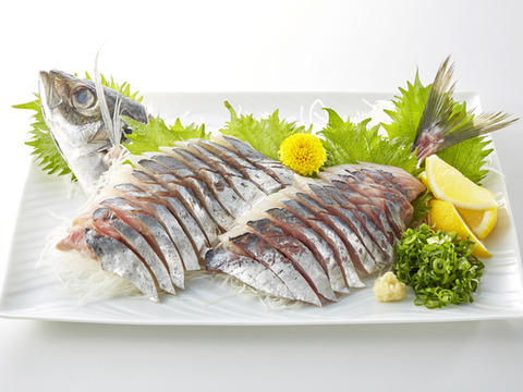 天然釣りアジ 2匹 刺身用 鹿児島県産 食べチョク 農家 漁師の産直ネット通販 旬の食材を生産者直送