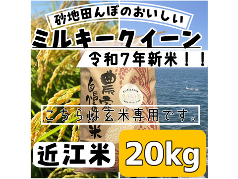 【令和7年新米】【玄米】 『ミルキークイーン20kg』冷めてもおいしい！圧倒的なもっちり感と強い甘みが特徴！おにぎりやお弁当にも最適！