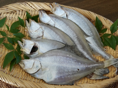 数量限定!一夜干し食べ比べセット