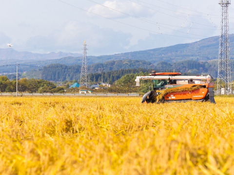 ”特別栽培米”青天の霹靂【農薬、化学肥料５０％減】白米５kg