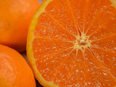 【お得用】はるのみかんカラマンダリン　お得用5キロ×1箱