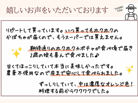 ホクホクがたまらない♪農薬化学肥料不使用の栗かぼちゃ10㎏(大中4～7玉)