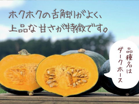 ホクホクがたまらない♪農薬化学肥料不使用の栗かぼちゃ10㎏(大中4～7玉)