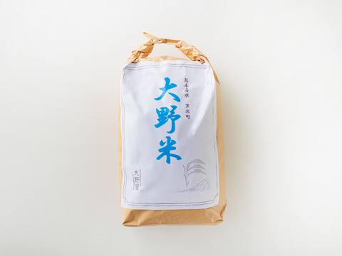 【名水のお米】熊本名水100選の農薬を限りなく減らした大野米(R3年産・玄米・5キロ×2袋)