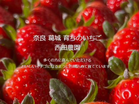 奈良ブランド苺古都華！贅沢まるごと冷凍『冷凍古都華』1キロ入り