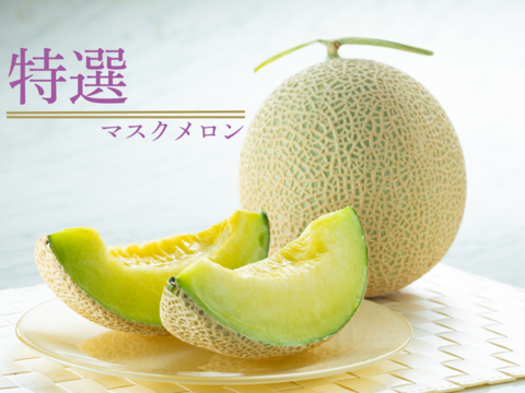 今季最終便【秋作】特選マスクメロン3.2kg以上(1.6kg以上×2玉・リボン付き・オリジナル化粧箱入り)