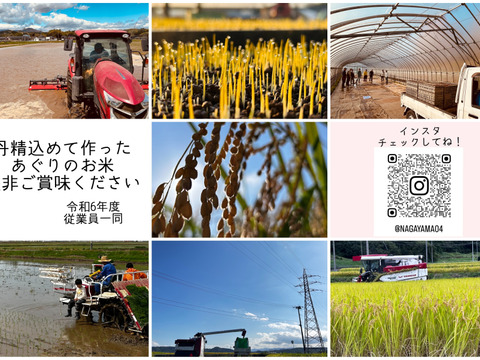 ひとめぼれ 10kg