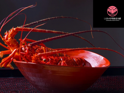 【長崎・五島列島直送】天然 活伊勢海老1kg（2〜4尾）離島の綺麗な海が育んだ「うまみと甘み」 漁師直送の鮮度をご家庭に