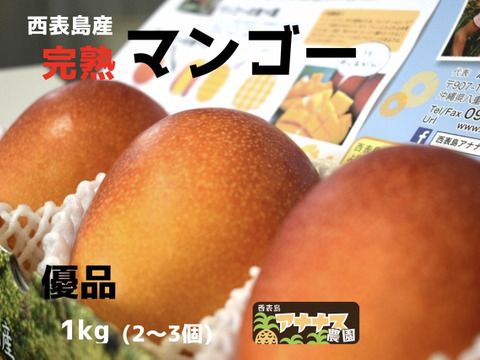 沖縄西表島の太陽をたっぷり浴びたマンゴー！！優品１ｋｇ（２～３個）【ご家庭用にお手頃価格！】