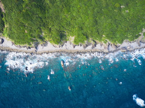 【天皇杯受賞農家】高知県大月町産・農家直送 こじゃんとレモン 5kg（化学肥料/防腐剤/ワックス不使用）