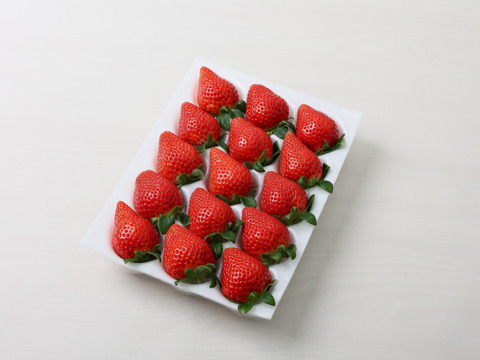 ★日付指定可能:【いちご博2024総合大賞】新鮮完熟やよいひめ（約400g）