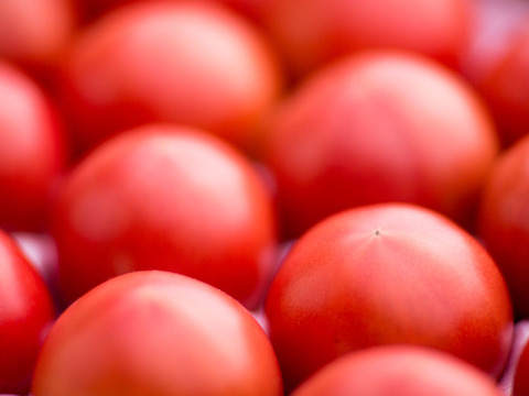 さわやかな甘味が特徴の徳用トマト5kg　宮崎県産