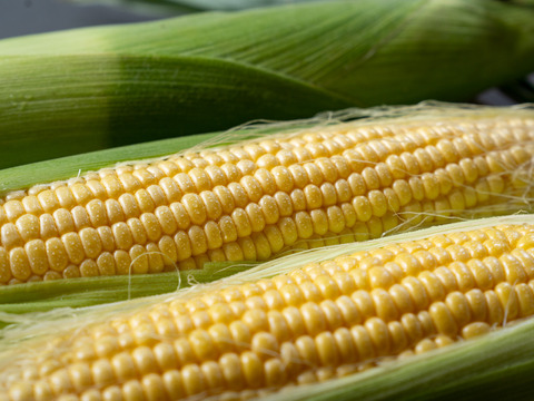 【生も美味い】濃厚激甘『八ヶ岳ヴィーナス』＜お試しに＞雑誌リンネル掲載｜配送日時指定⭕️｜370g×4本