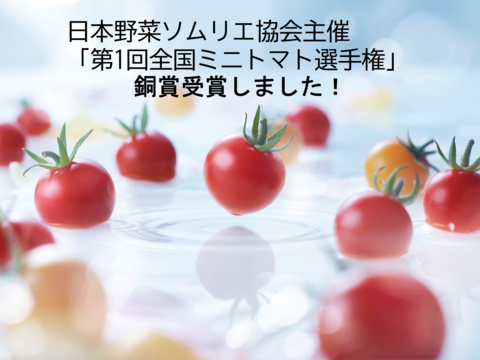 【贈答用】トマト好きが、恋をする。　700ｇ　金赤トマト　ﾐﾆﾄﾏﾄ[全国ミニトマト選手権銅賞受賞]