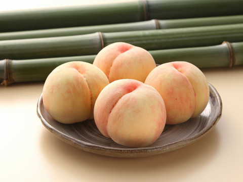 贈答用】【お中元】岡山白桃3玉箱：岡山県産の白桃｜食べチョク