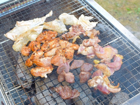 鶏焼肉２ｋｇセット(特製味噌だれ付)／新鮮な鶏肉＊雑誌掲載商品