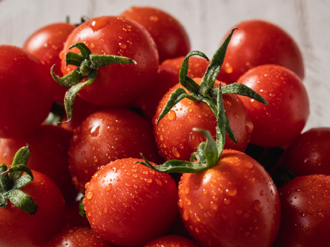 プチッと弾ける果汁🍅特別栽培「宮トマト」２㎏