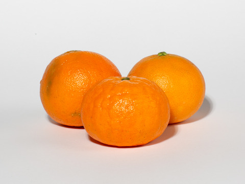 ［4.5kg］希少柑橘　おどろきの最高糖度30°の甘さに驚き！”あすみ”　★訳ありでお得★ ハウス育ち・みかん・かんきつ・唐津