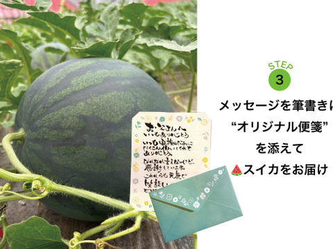 【父の日ギフト】黄金果肉のスイカ『ムーンフラッシュ』（1玉：約4人分） メッセージカード付き