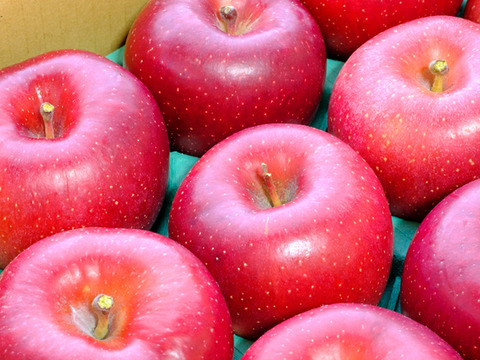 ≪予約受付中≫信州のりんご【シナノホッペ】約3kg