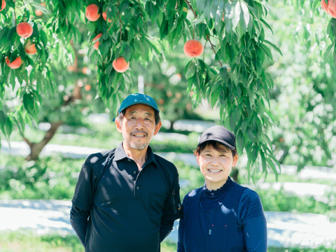固い桃 おどろき 福島県伊達市産 3kg(9～11玉)