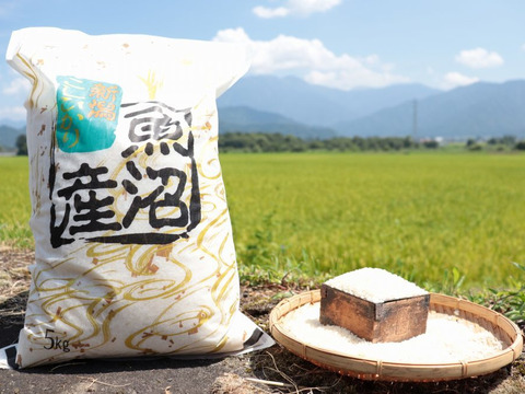 令和2年産】南魚沼産コシヒカリ5㎏(精米)/生きくらげ500gのセット