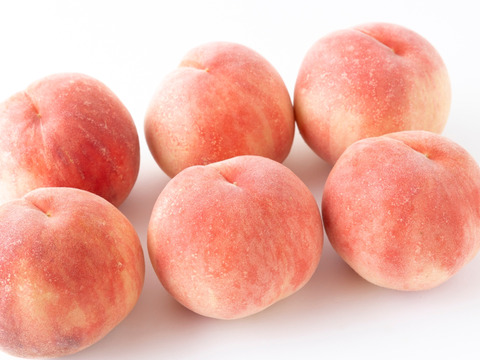 【贅沢な一杯】100％桃しぼりジュース「しふく」桃の果汁だけで作った希少な桃ジュース