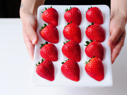 【福袋】「栃木のいちご4種入り！」厳選！2パック9～15粒【ゆりかーご】900g以上