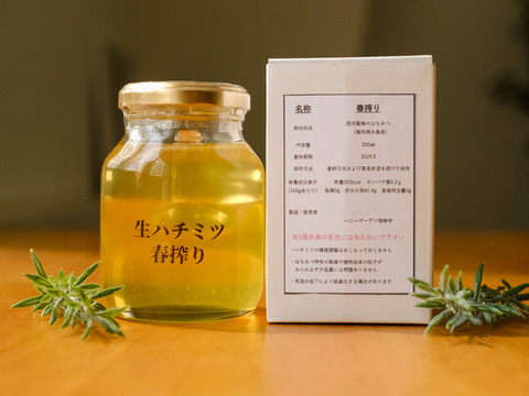 【大容量】花香る!西洋蜜蜂の生ハチミツ『春搾り500』500ml