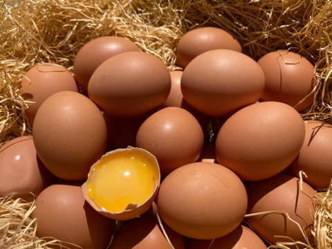 【採れたて新鮮たまご】平飼い養鶏卵『Bon-TAMA』M~Lサイズ・30個入り