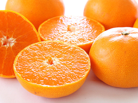 【予約】せとか〈家庭用・優品〉約3kg　※発送は2月中旬頃開始予定