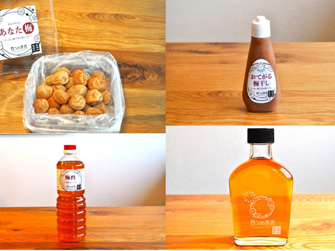 【福袋】無添加！梅農家から南高梅いろいろセット！