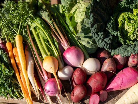 季節の野菜セット(約5~7品)＊Sサイズ