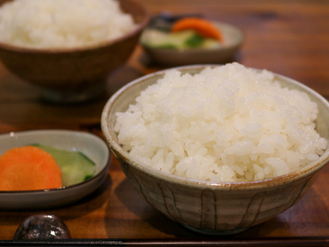栽培期間中農薬化学肥料不使用　コシヒカリ「うきぬの米」無洗米５㎏【新米R5年産】