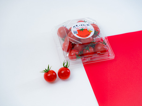 濃厚な甘さ感じるフルーツトマト『ポモロッサ４パック入』