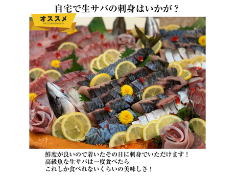 青空レストランで紹介されたフルーツ魚
平戸なつ香サバ（約500ｇ×4尾）三枚おろし 【さばき方＆魚レシピ付き】【熨斗対応可】
